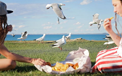 Seafarers Robe - Phillip Island Accommodation 0