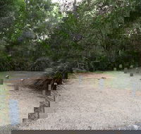 Springbrook National Park camping - Phillip Island Accommodation