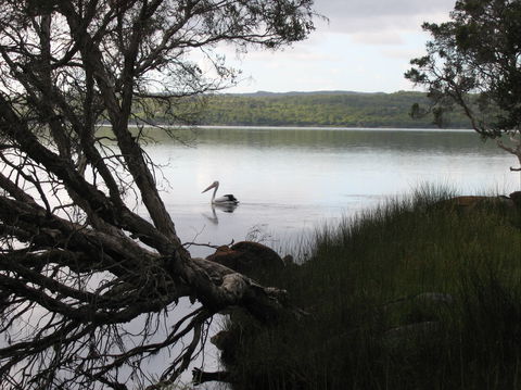 The Cove - Phillip Island Accommodation 0