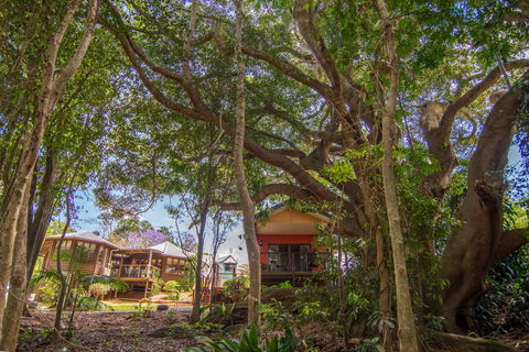 The African Village - By Clouds - Phillip Island Accommodation 0