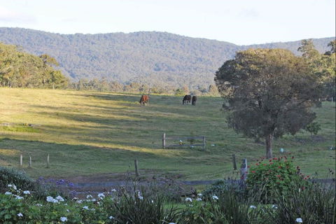Wallaby Cottage - Phillip Island Accommodation 0