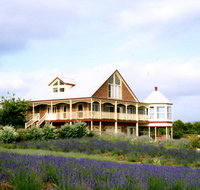 Serendipity Lavender Farm - Phillip Island Accommodation