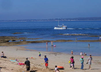 QueenscliffeTourist Park - Phillip Island Accommodation 0