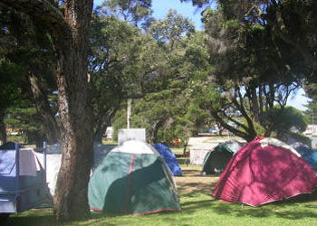 QueenscliffeTourist Park - Phillip Island Accommodation 2