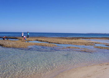 QueenscliffeTourist Park - Phillip Island Accommodation 3