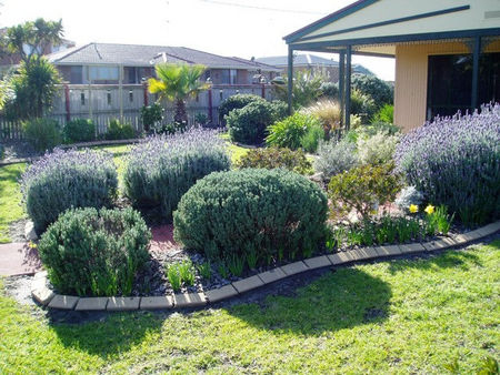 Bells By The Beach Holiday House - Phillip Island Accommodation 4