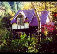 Forest Glade Olinda - Phillip Island Accommodation