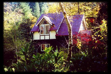 Forest Glade Olinda - Phillip Island Accommodation 0