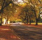 La Trobe at Beechworth - Phillip Island Accommodation
