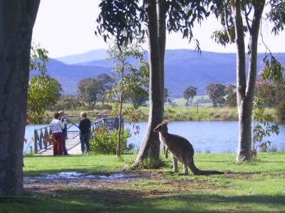 Wombat Hills Cottages - Phillip Island Accommodation 4