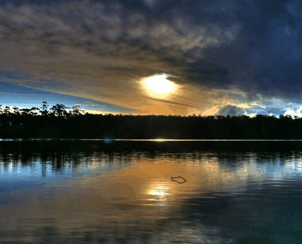 Lake Yalleena Cabins - Phillip Island Accommodation 3