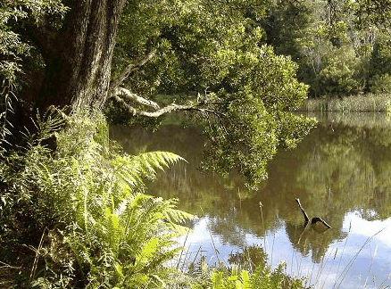 Weldborough Hotel - Phillip Island Accommodation