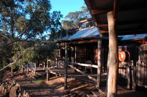 Evedon Park Bush Resort - Phillip Island Accommodation 1