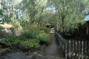 Evedon Park Bush Resort - Phillip Island Accommodation 2