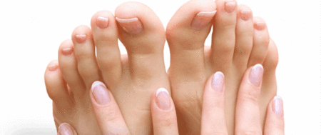 Ella Bache - Phillip Island Accommodation