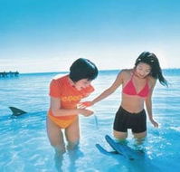 Kookaburra Air - Phillip Island Accommodation