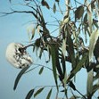 Dianne Tanzer Gallery & Projects - Phillip Island Accommodation 1