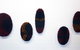 Dianne Tanzer Gallery & Projects - thumb 2