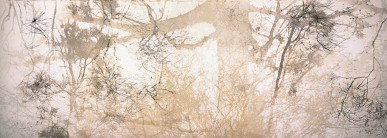 Dianne Tanzer Gallery & Projects - Phillip Island Accommodation 3