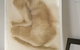 Eckersley's Open Space Gallery - thumb 0