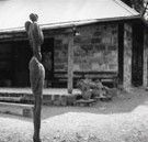 The Baldessin Press - Phillip Island Accommodation
