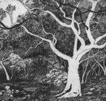 Tacit Contemporary Art - Phillip Island Accommodation