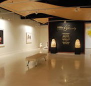 Counihan Gallery In Brunswick - Phillip Island Accommodation