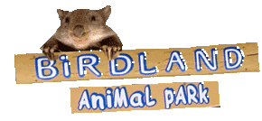 Birdland Animal Park - Phillip Island Accommodation