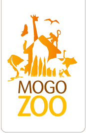 Mogo Zoo - Phillip Island Accommodation