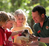 Cleland Wildlife Park - Phillip Island Accommodation