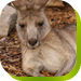  Phillip Island Accommodation