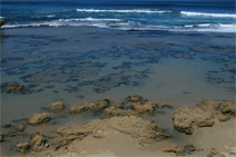 Canberra Contemporary Art Space - Phillip Island Accommodation