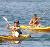 Manly Kayaks - Phillip Island Accommodation