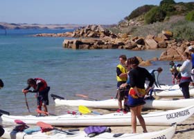 Sea Kayak Melbourne And Victoria - Phillip Island Accommodation 2