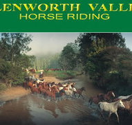 Glenworth Valley Horseriding - Phillip Island Accommodation