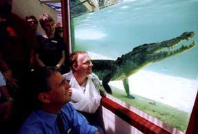 Alice Springs Reptile Centre - Phillip Island Accommodation 1
