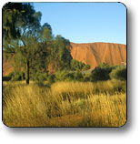  Phillip Island Accommodation