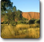 Uluru - Kata Tjuta National Park - Phillip Island Accommodation