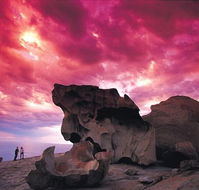 Kangaroo Island Adventure Tour 2 day/1 night - Phillip Island Accommodation