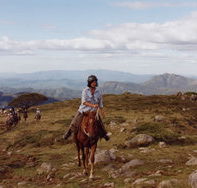 High Country Horses - Phillip Island Accommodation