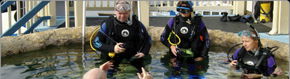 Scuba World - Phillip Island Accommodation 2