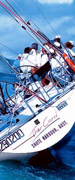 Koala Adventures - Phillip Island Accommodation 1