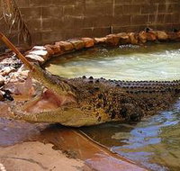 Wyndham Zoological Gardens and Crocodile Park - Phillip Island Accommodation