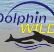 Dolphin Wild - Phillip Island Accommodation