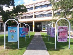 Cadbury Chocolate Factory Tour - Phillip Island Accommodation 2