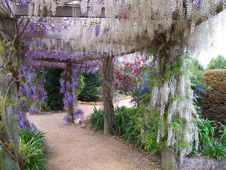 Furnissdale WA Phillip Island Accommodation