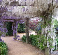 Abingdon Miniature Village - Phillip Island Accommodation