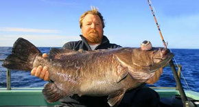  Phillip Island Accommodation