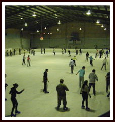 Bendigo Ice Stadium - Phillip Island Accommodation 1