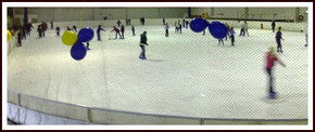 Bendigo Ice Stadium - Phillip Island Accommodation 2